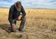 DIRECȚIILE JUDEȚENE PENTRU AGRICULTURĂ PRIMESC CERERI DE LA FERMIERII AFECTAȚI DE SECETĂ