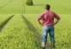 FERMIERII TREBUIE SĂ SEMNEZE CERERILE DE PLATĂ PÂNĂ LA SFÂRŞITUL ACESTEI LUNI