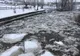 Un bărbat a căzut sub gheața râului Mureș în timp ce a încercat să-și salveze câinele. A fost salvat la timp de un pompier scafandru