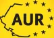 Proiectul AUR privind accesul liber la meciurile echipelor naționale de handbal, adoptat de Camera Deputaților