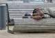 Direcția de Asistență Socială Târgu Mureș anunță deschiderea Adăpostului de Noapte