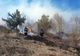 Peste 40 de incendii de vegetaţie, weekend-ul trecut, în judeţul Mureş